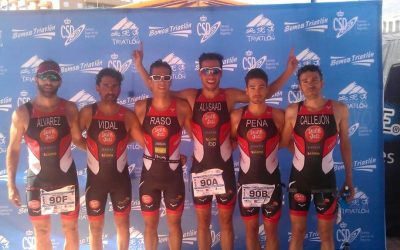 Criterios liga nacional de clubes. Equipo de competición: Águilas 2015